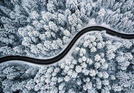 Lenvi - Arial view of icy forest