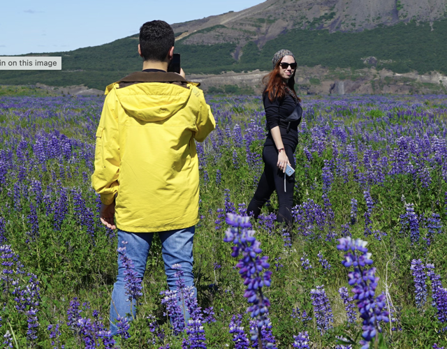 Lenvi - Test CTA Image - 2 people in lavendar field